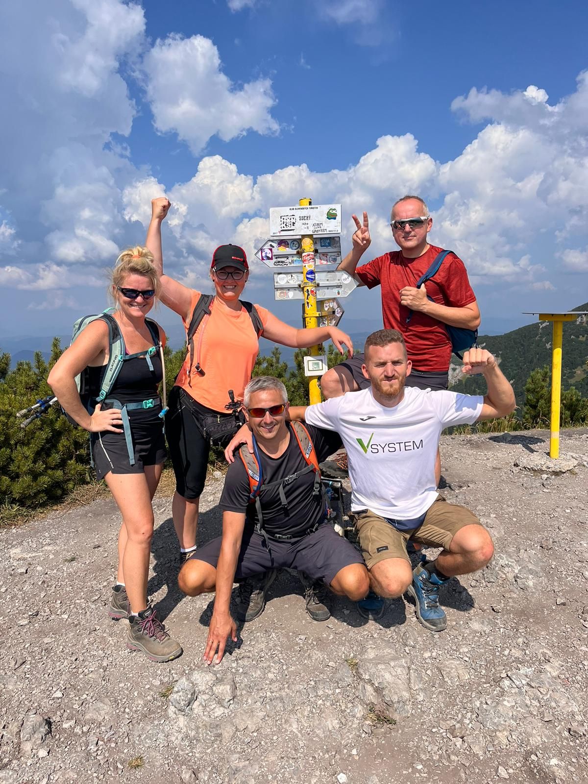 zespół vsystem budowa hal magazynowych i produkcyjnych